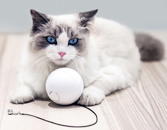 Smart Automatic Interactive Cat Toy Ball Rechargeable Rolling