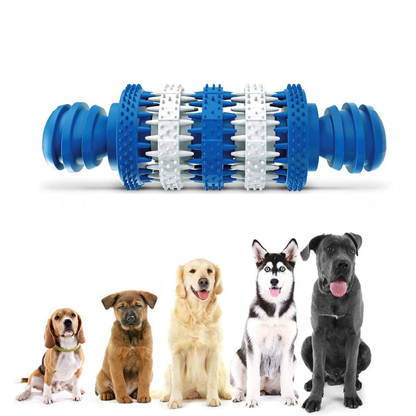Rubber Dog Treat Dispensing Dental Chew Toy