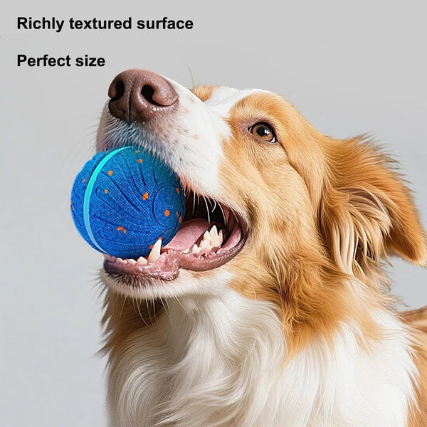 Smart Interactive Bouncing Dog Ball with Colorful Lights