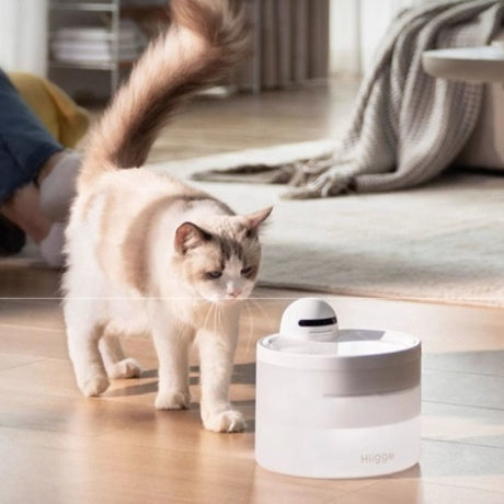 Smart Wireless Pet Water Dispenser with Quality Monitoring