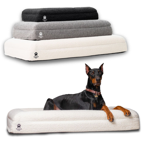 Luxury Orthopedic Dog Bed Supportive Comfortable Pet Sleeping Cushion