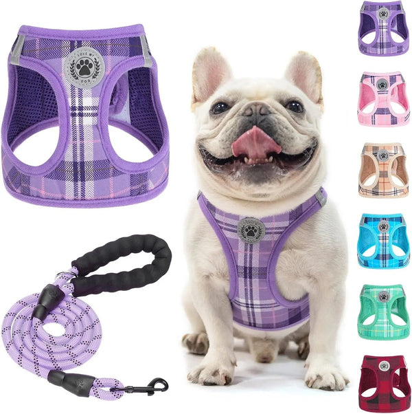 Reflective Step-In Dog Harness Leash Set No Pull