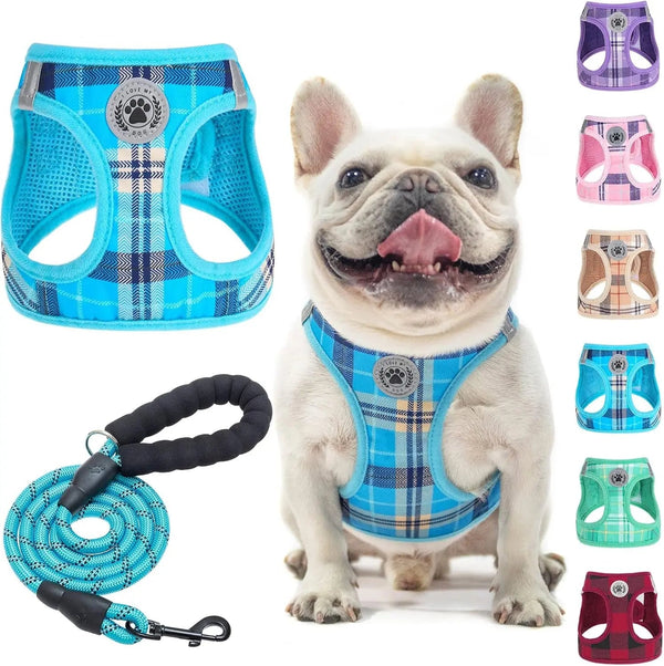 Reflective Step-In Dog Harness Leash Set No Pull