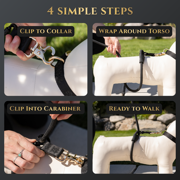 Calm Command Hands Free No Pull Leash Adjustable Dog Walking