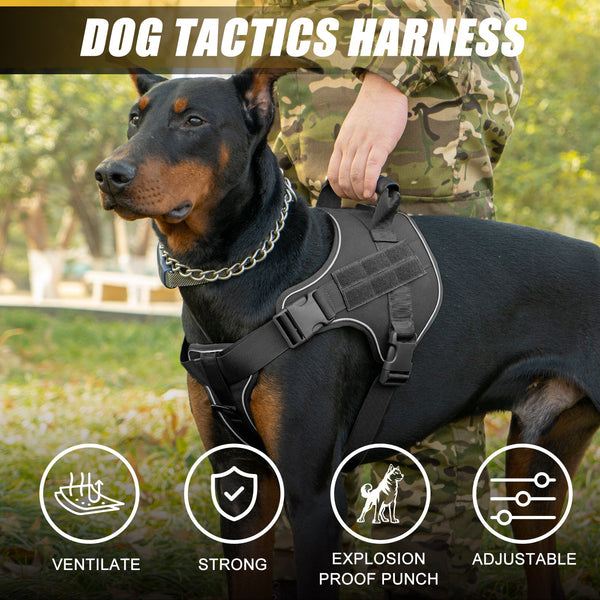 Large Dog Tactical Harness Breathable Traction Rope Walking Training Gear