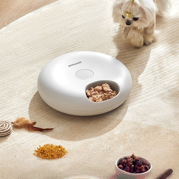 Smart App Remote Freeze-Dried Snack Cat Feeder Automatic