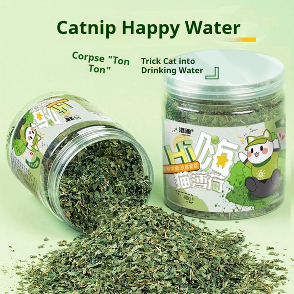 Cat Grass Leaves Interactive Cat Teaser Treats Toy